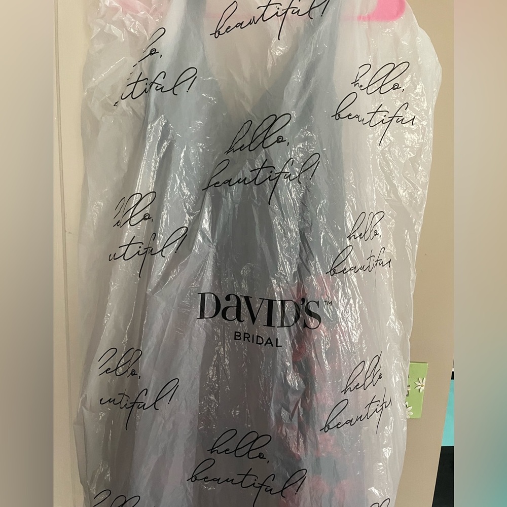 David’s bridal prom/homecoming dress